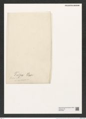 Triceratium tripos Cleve (de-Toni-Nr.: Genus 140, Species 3746) Zeichnungen Sammlung Grunow (NHMW-BOT-W0376264)